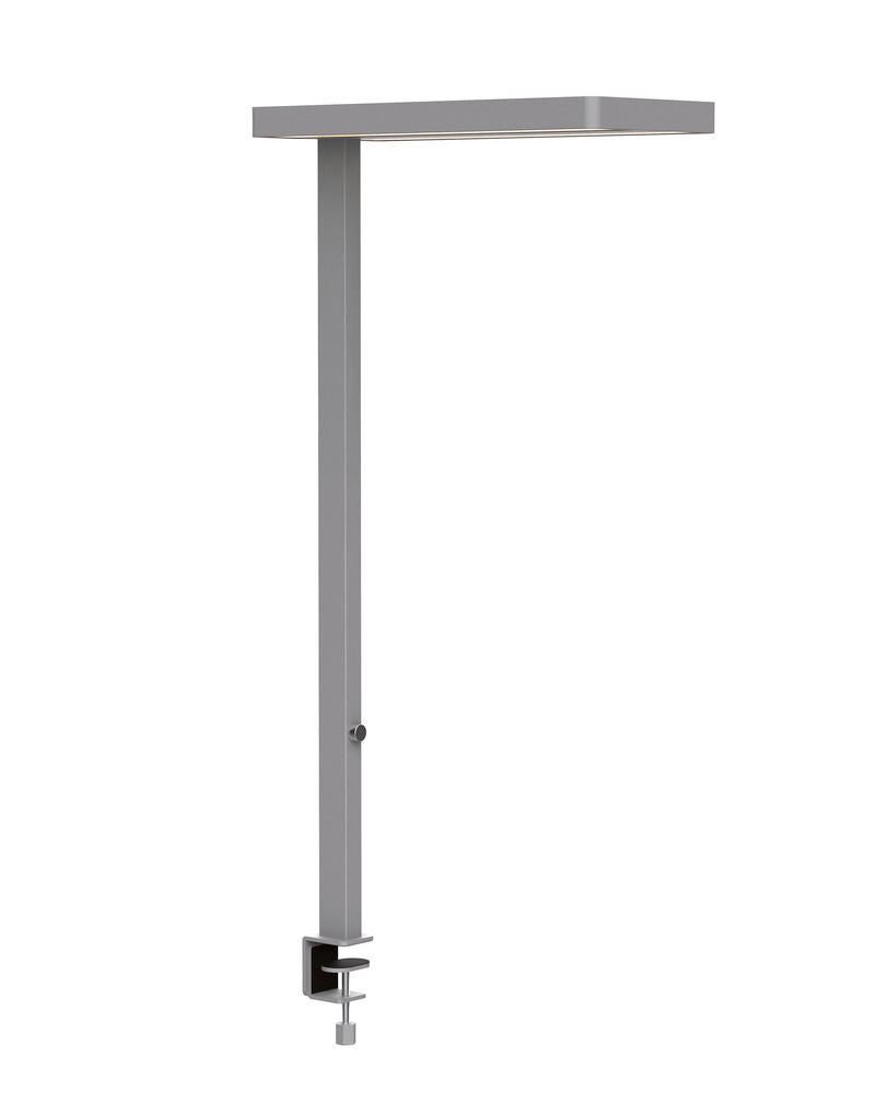 DENIOS Radna Podna Lampa Cressida 274261W