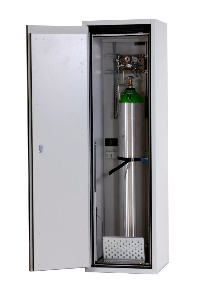 Asecos Čelik Orman za Gasne Boce 1x50l 598x615x2050mm Sivi