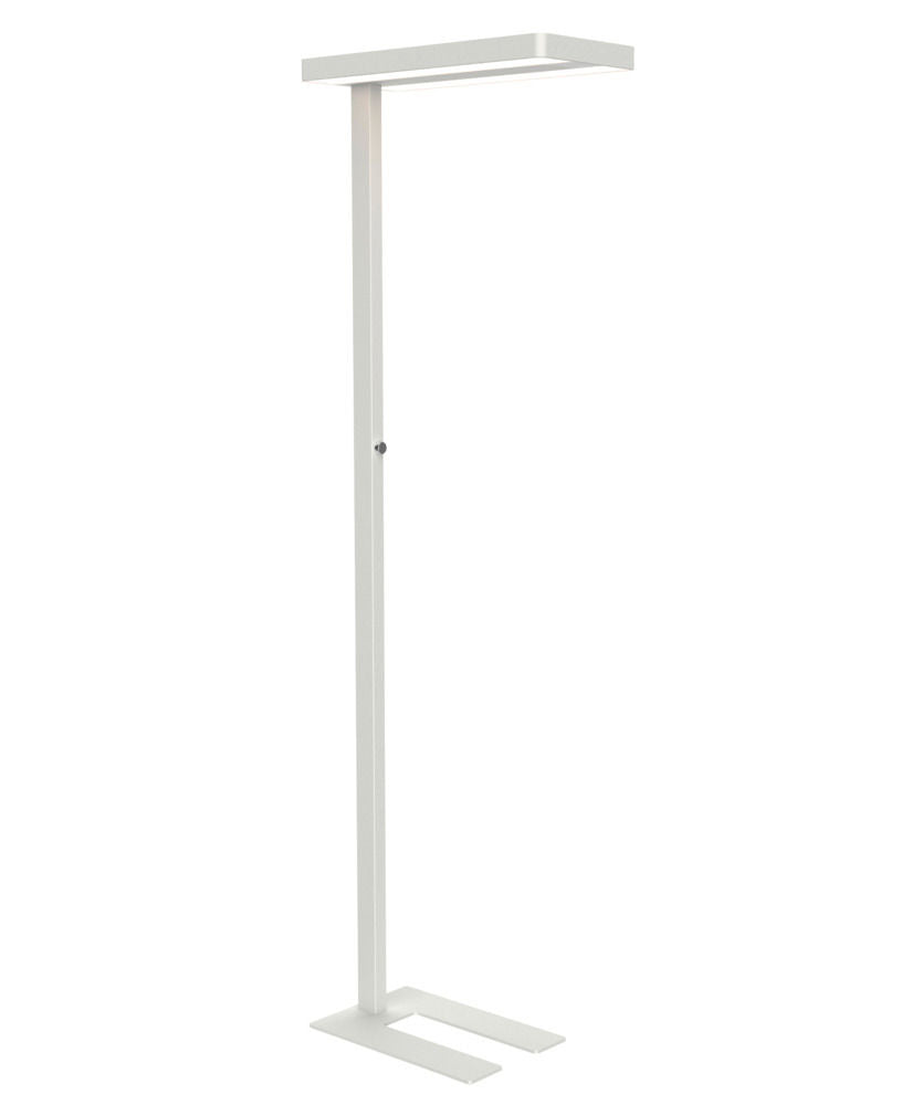 DENIOS Radna Podna Lampa Cressida 290742W