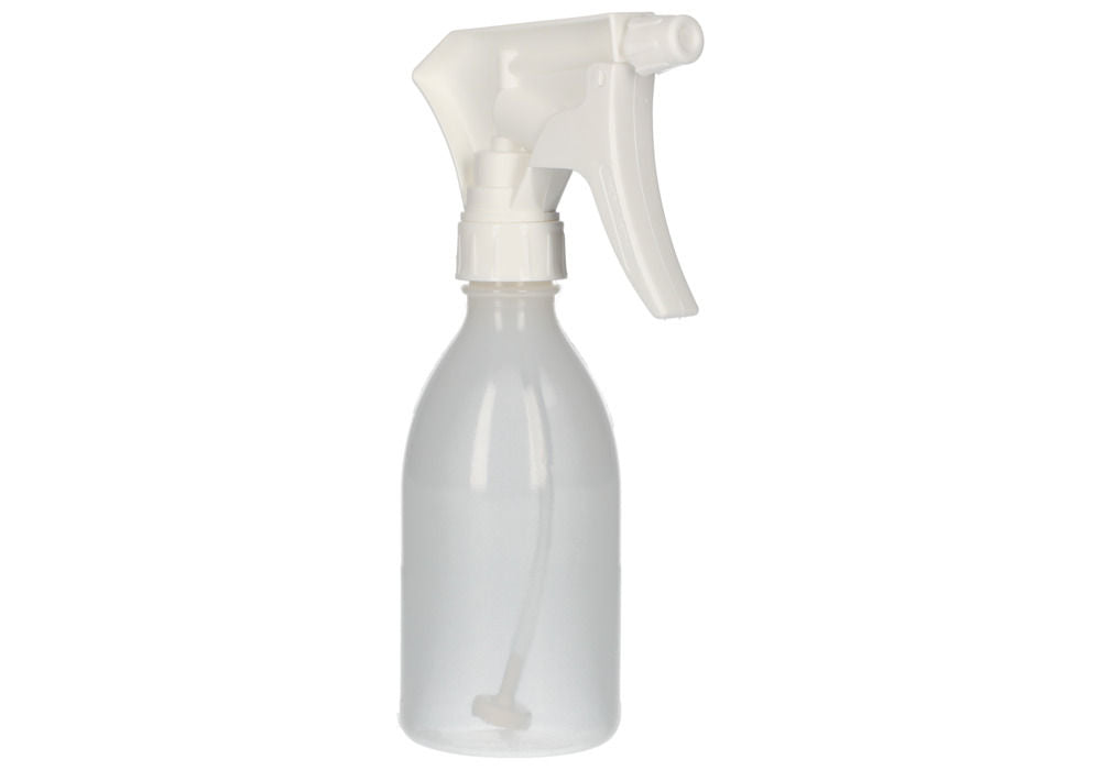LDPE Boca sa Raspršivačem sa Ručnom Pumpom Prozirna 250 ml Pakovanje od 10 Komada DENIOS 281808W
