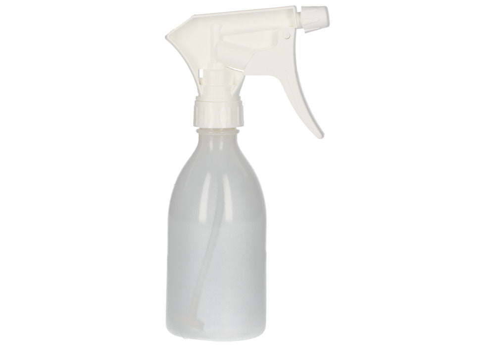 LDPE Boca sa Raspršivačem sa Ručnom Pumpom Prozirna 250 ml Pakovanje od 10 Komada DENIOS 281808W