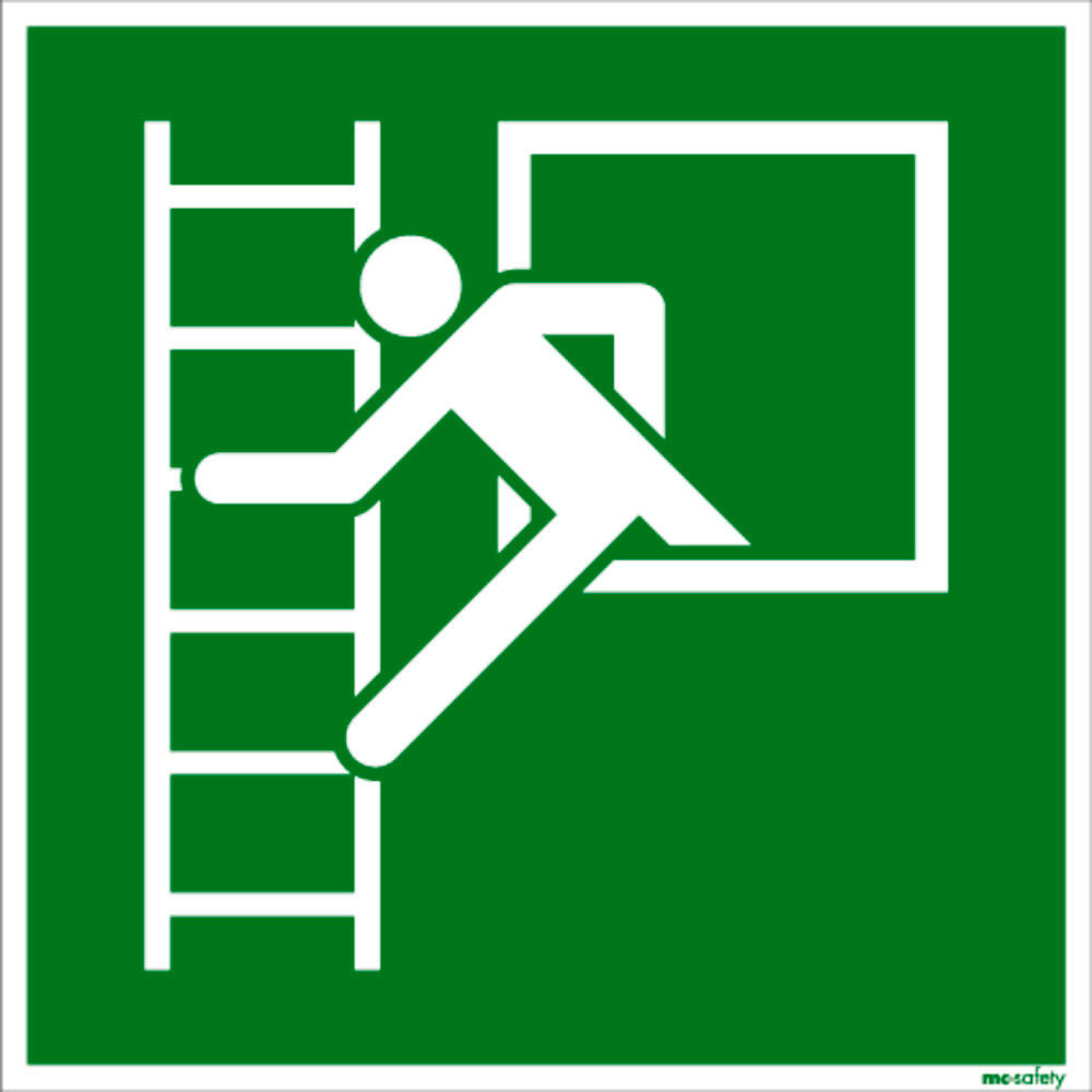 DENIOS Znak za Evakuaciju ISO 7010 219185W