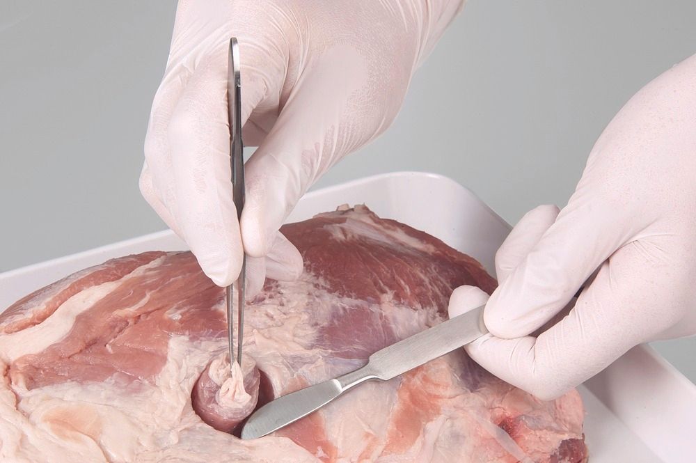 Uređaj za uzorkovanje mesa BeefSteaker za prehrambenu industriju Ø 25 mm Bürkle 322664W