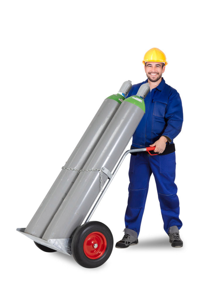 Denios Čelična Kolica Za Gasne Boce 2 × 50 L 200 Kg